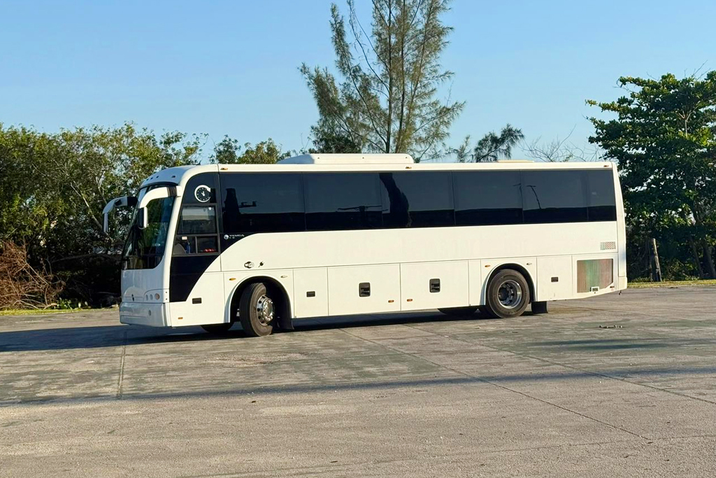 Bus gallery image