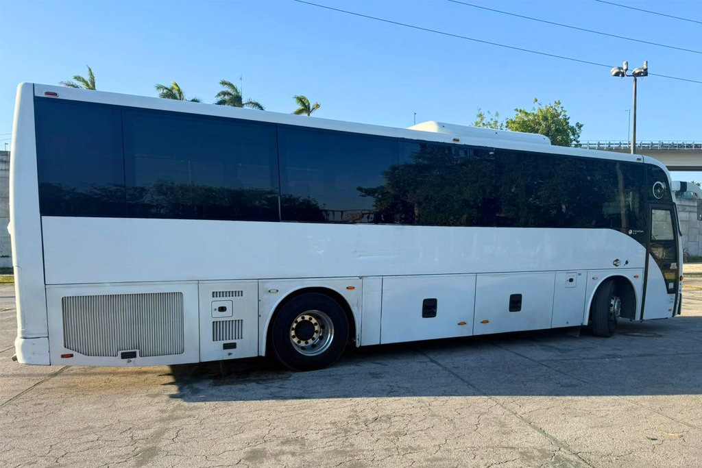 Bus gallery image